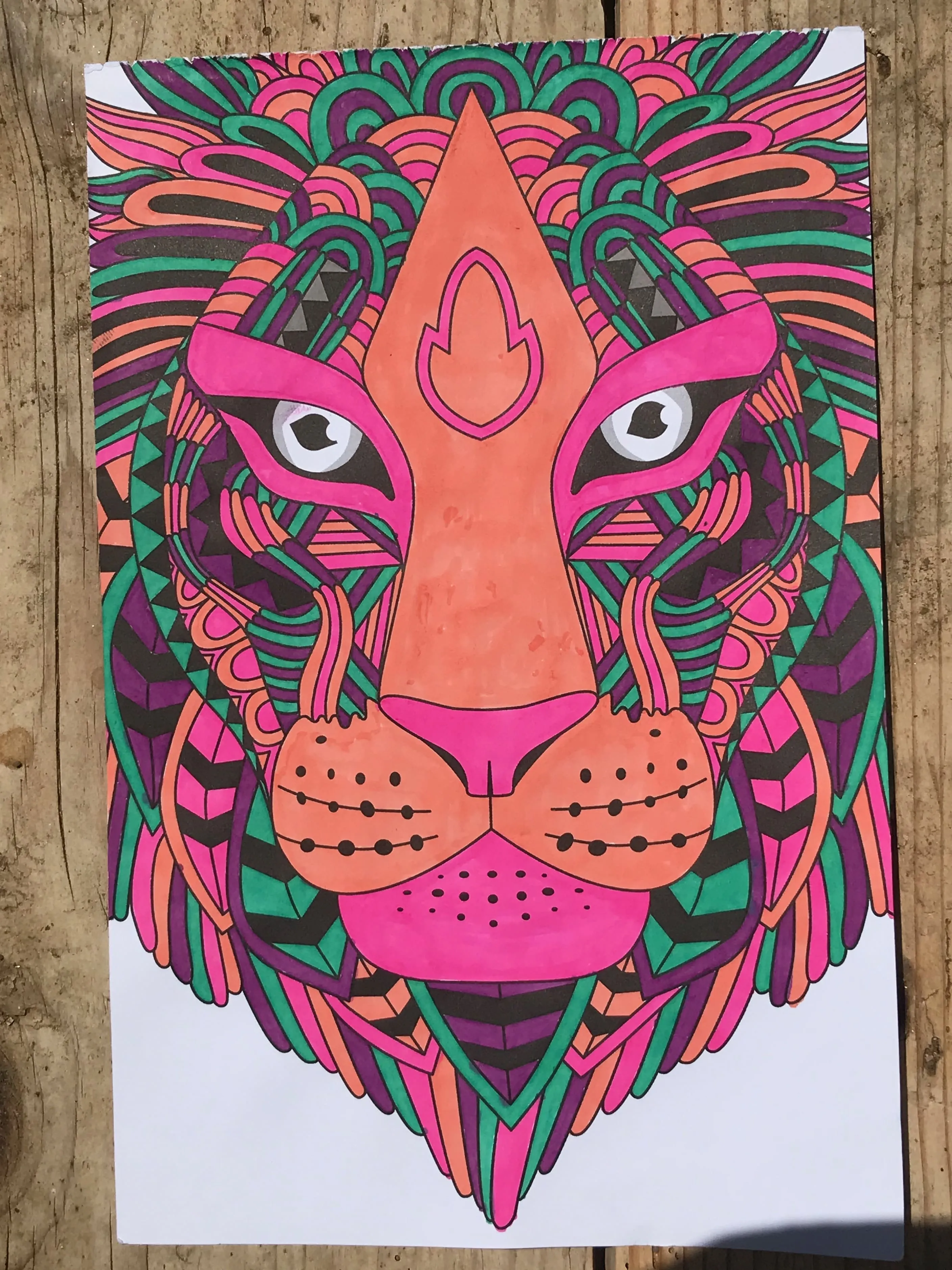 colouring page of lion