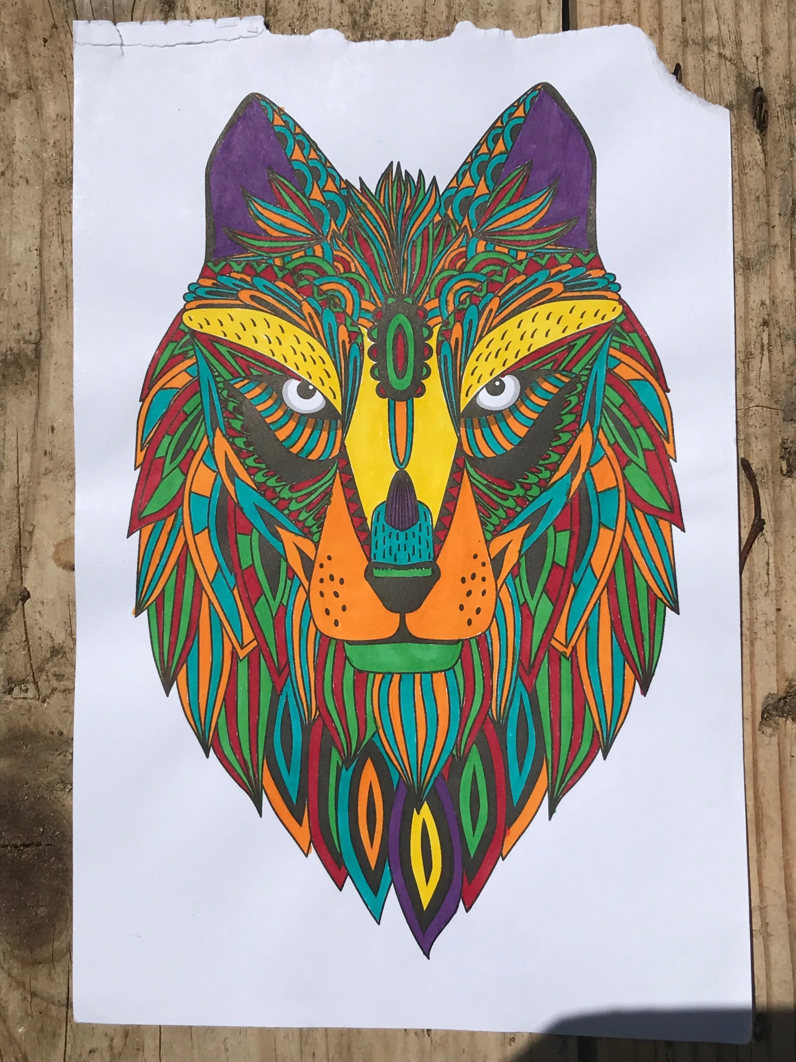 colouring page of wolf